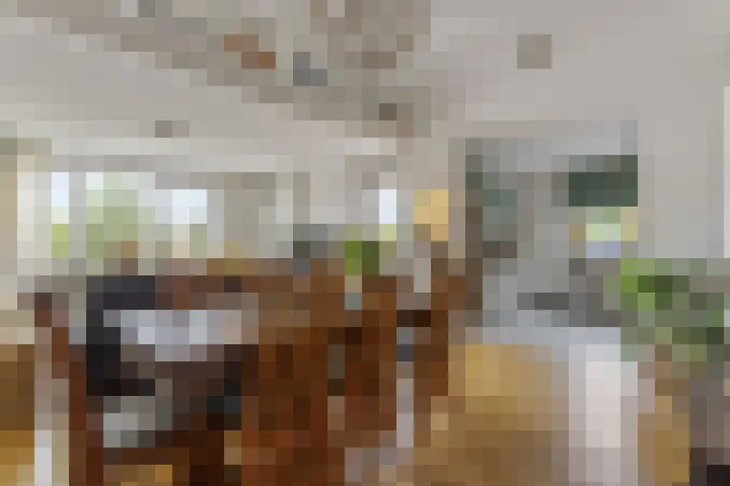 Winde 4 Hendrik-Ido-Ambacht thumbnail 9