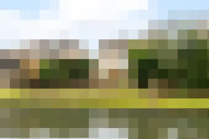 Winde 51 Kampen foto 2