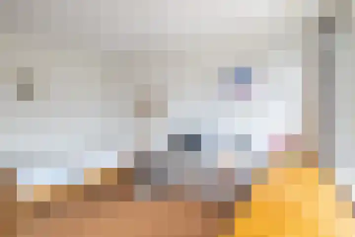 Winde 51 Kampen thumbnail 26