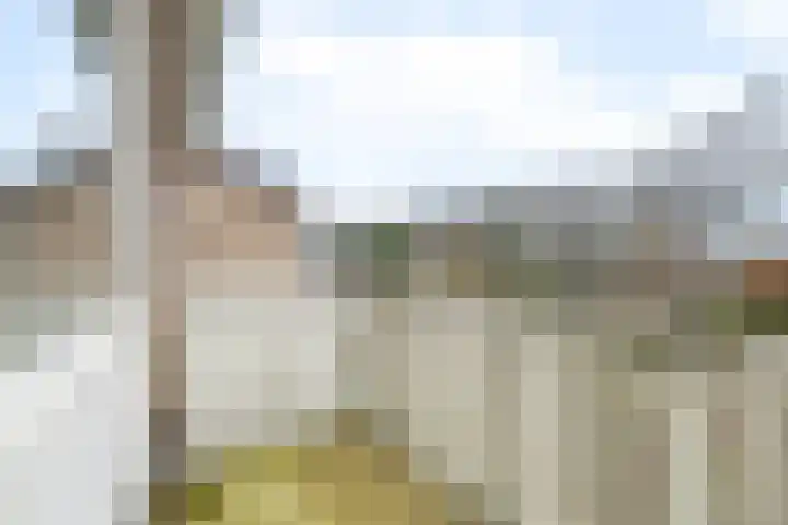 Winde 51 Kampen thumbnail 27