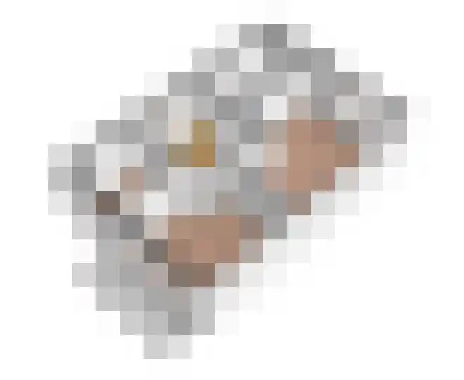 Winde 51 Kampen thumbnail 32