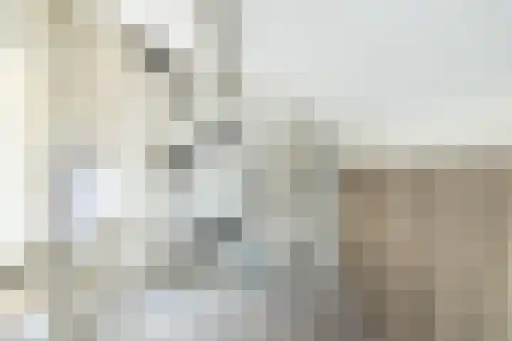 Winde 51 Kampen thumbnail 33