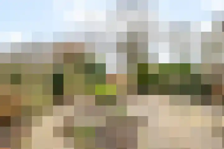 Winde 51 Kampen thumbnail 41