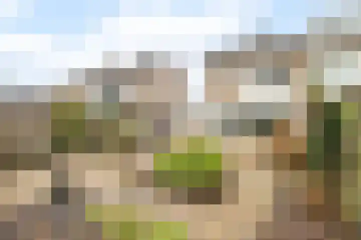 Winde 51 Kampen thumbnail 42