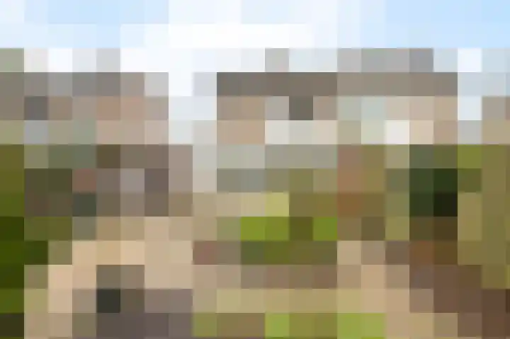 Winde 51 Kampen thumbnail 43