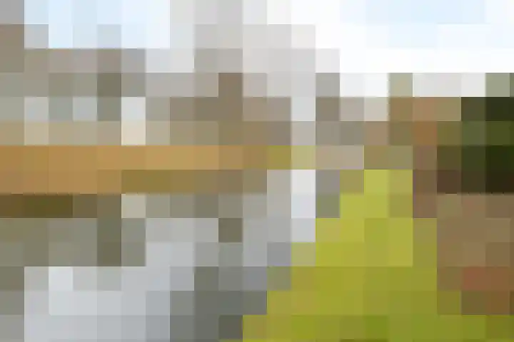 Winde 51 Kampen thumbnail 45