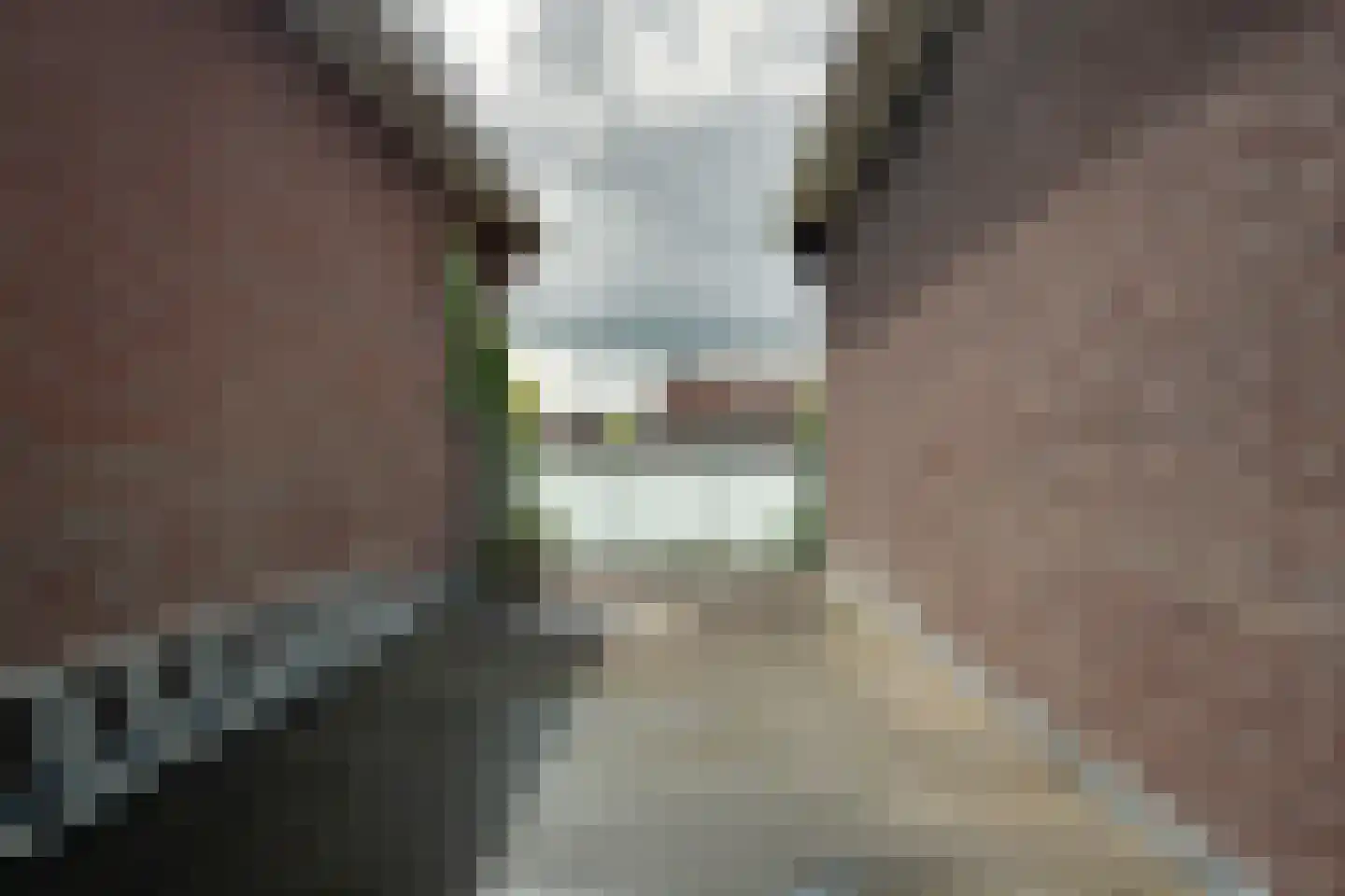 Winde 6 Assen thumbnail 18