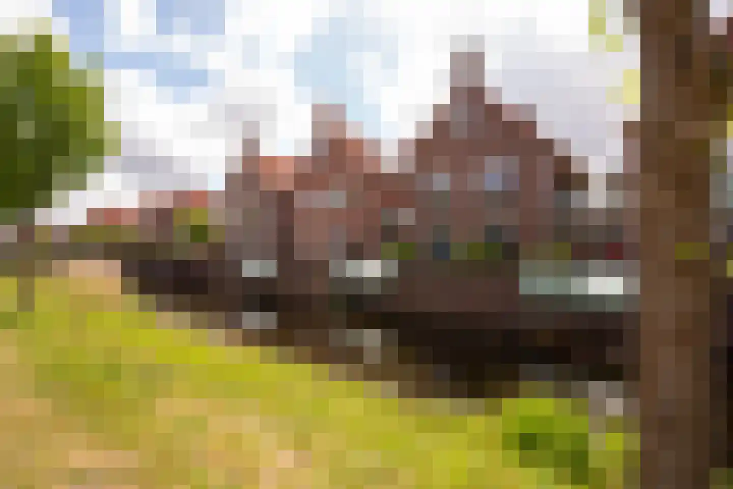 Winde 6 Assen foto 2