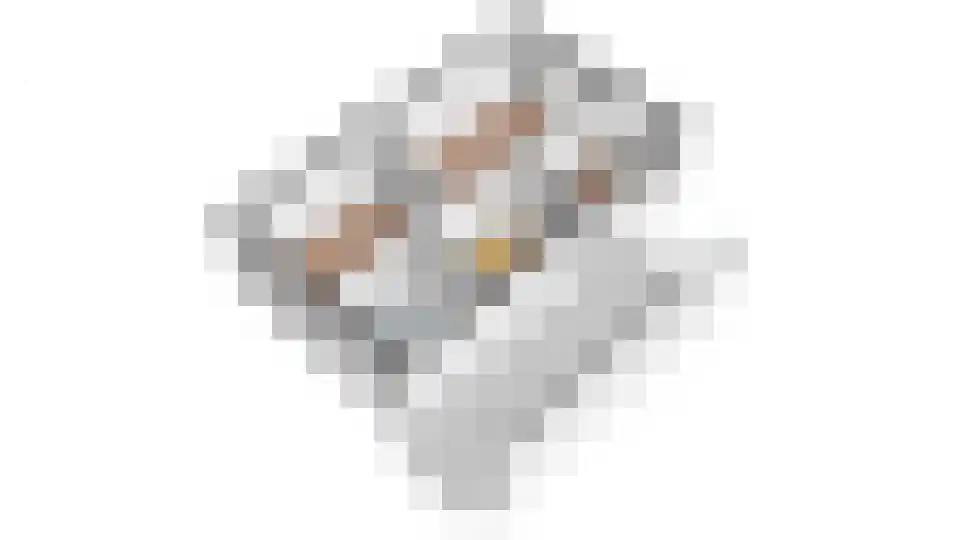 Winde 6 Assen thumbnail 33