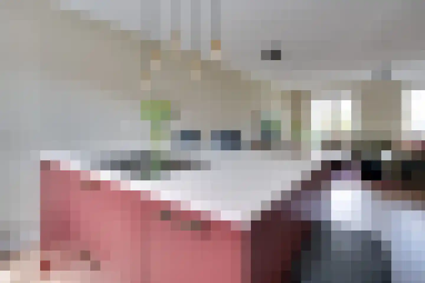 Winde 6 Assen thumbnail 8