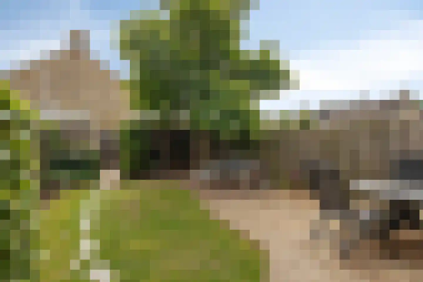 Winde 60 Kampen thumbnail 40