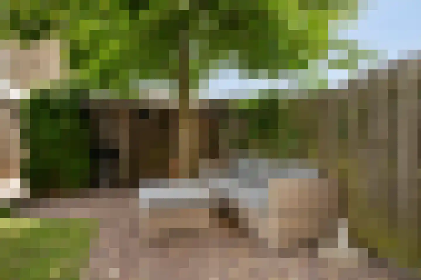 Winde 60 Kampen thumbnail 43