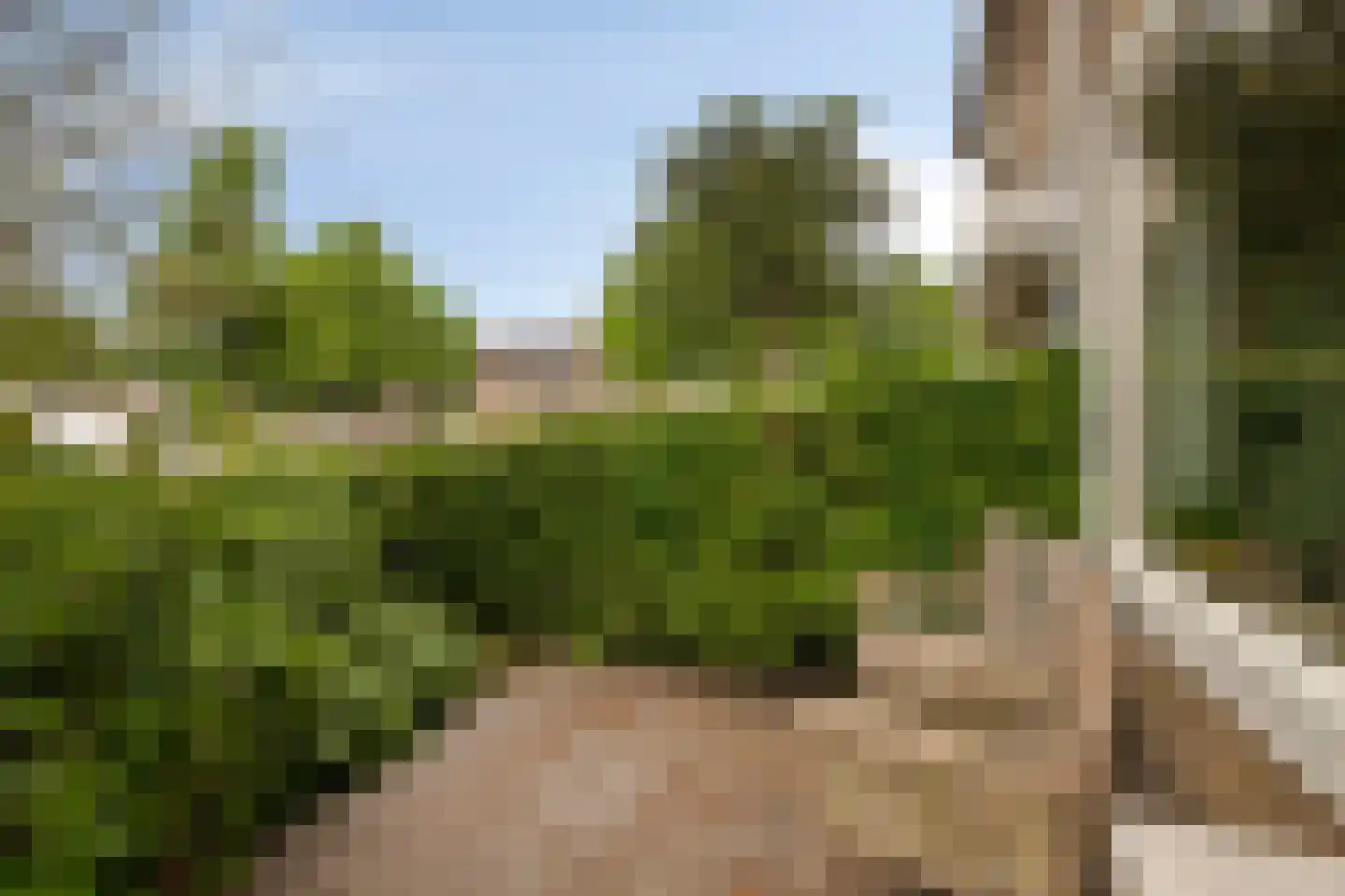 Winde 60 Kampen thumbnail 48