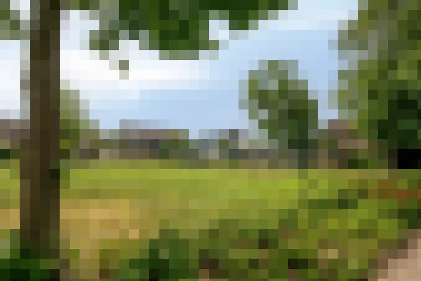 Winde 60 Kampen thumbnail 54