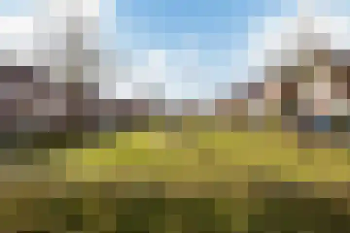 Winde 8 Assen thumbnail 10