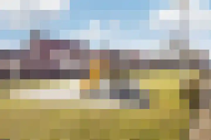 Winde 8 Assen thumbnail 11