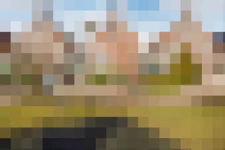Winde 8 Assen thumbnail 12