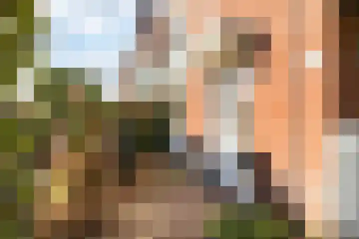 Winde 8 Assen thumbnail 13