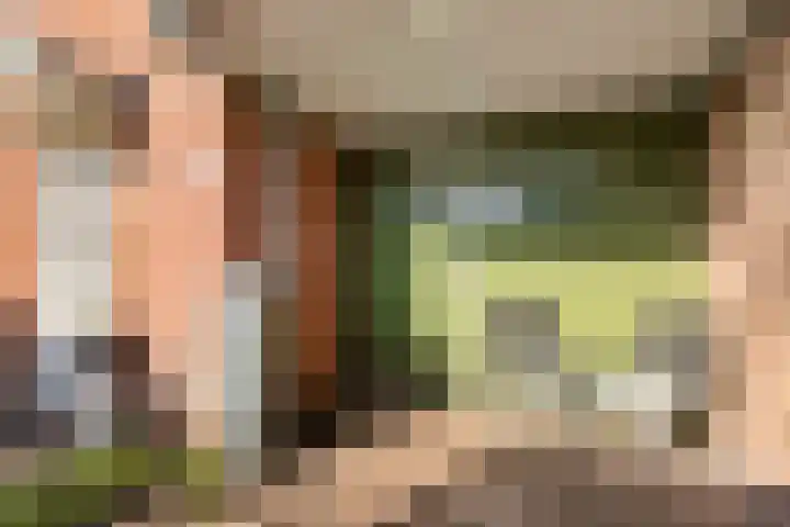 Winde 8 Assen thumbnail 14