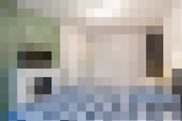 Winde 8 Assen thumbnail 35
