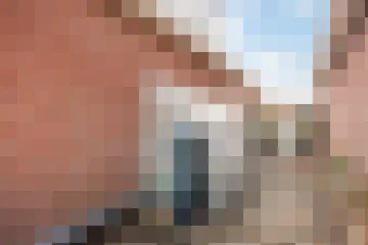 Winde 8 Assen thumbnail 47