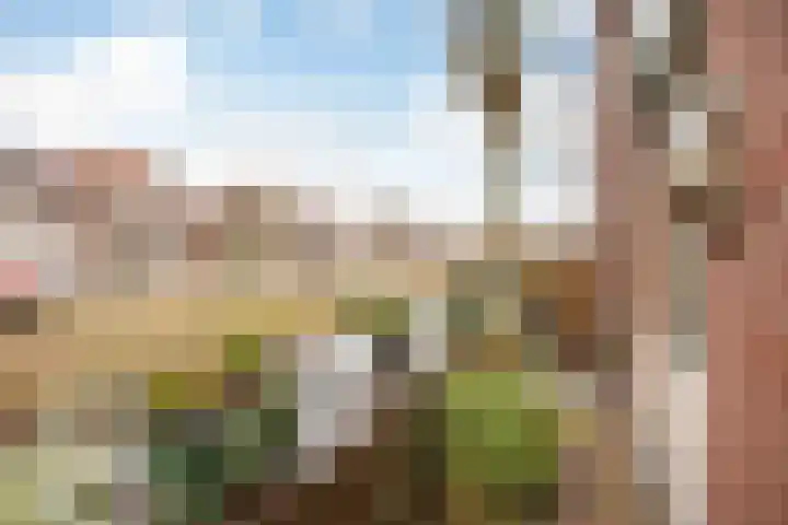 Winde 8 Assen thumbnail 58