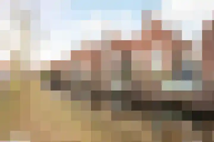 Winde 8 Assen thumbnail 61