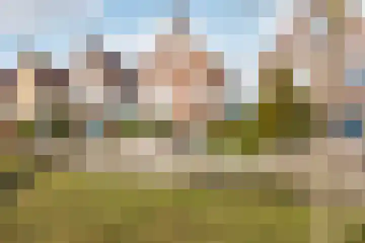 Winde 8 Assen thumbnail 8