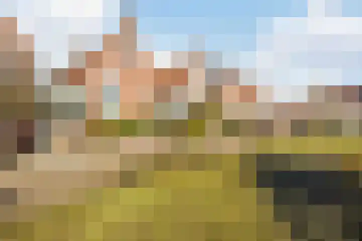 Winde 8 Assen thumbnail 9