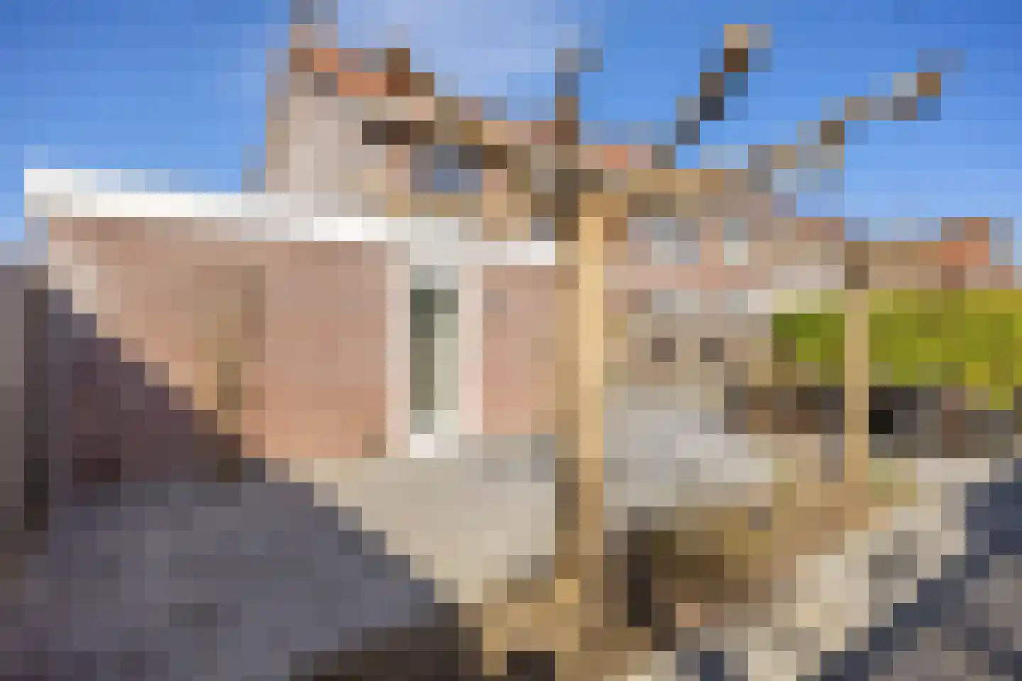 Winde 9 Assen thumbnail 56