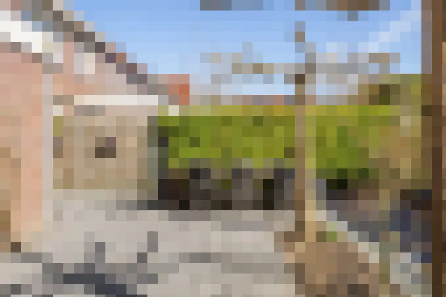 Winde 9 Assen thumbnail 58
