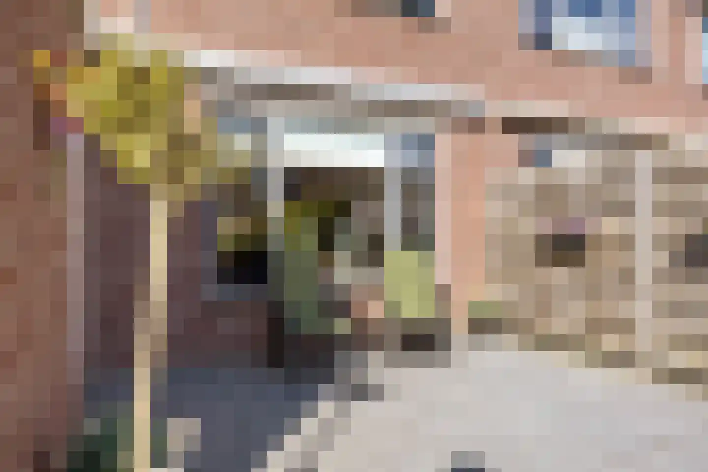 Winde 9 Assen thumbnail 59