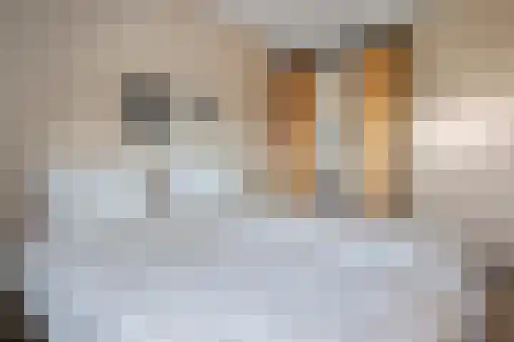 Winde 9 Bennekom thumbnail 25