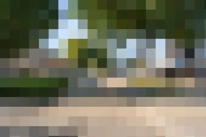 Winde 9 Bennekom thumbnail 4