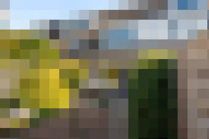 Winde 9 Bennekom thumbnail 6