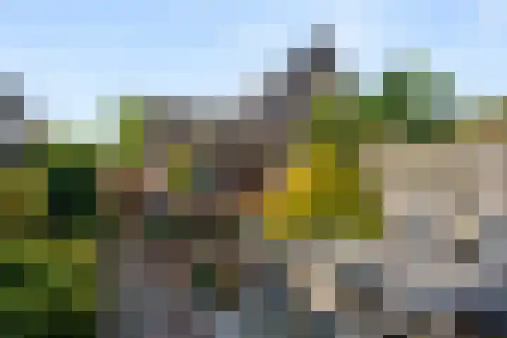 Winde 9 Bennekom thumbnail 8