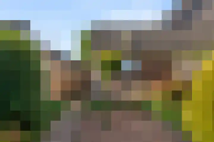 Winde 9 Bennekom thumbnail 9