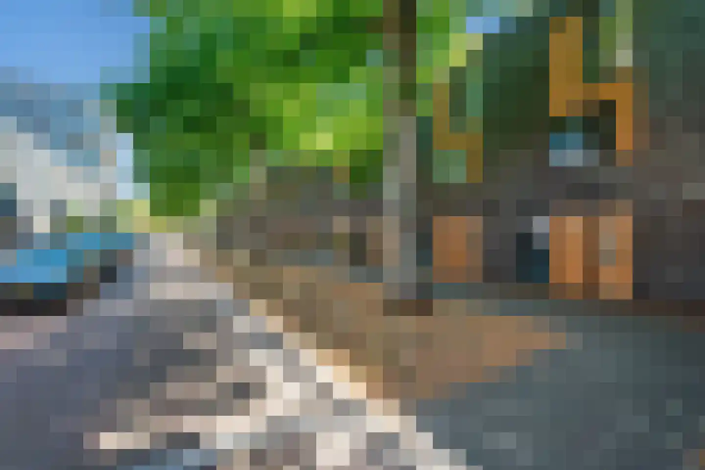 Windesheimstraat 36 Den Haag thumbnail 5