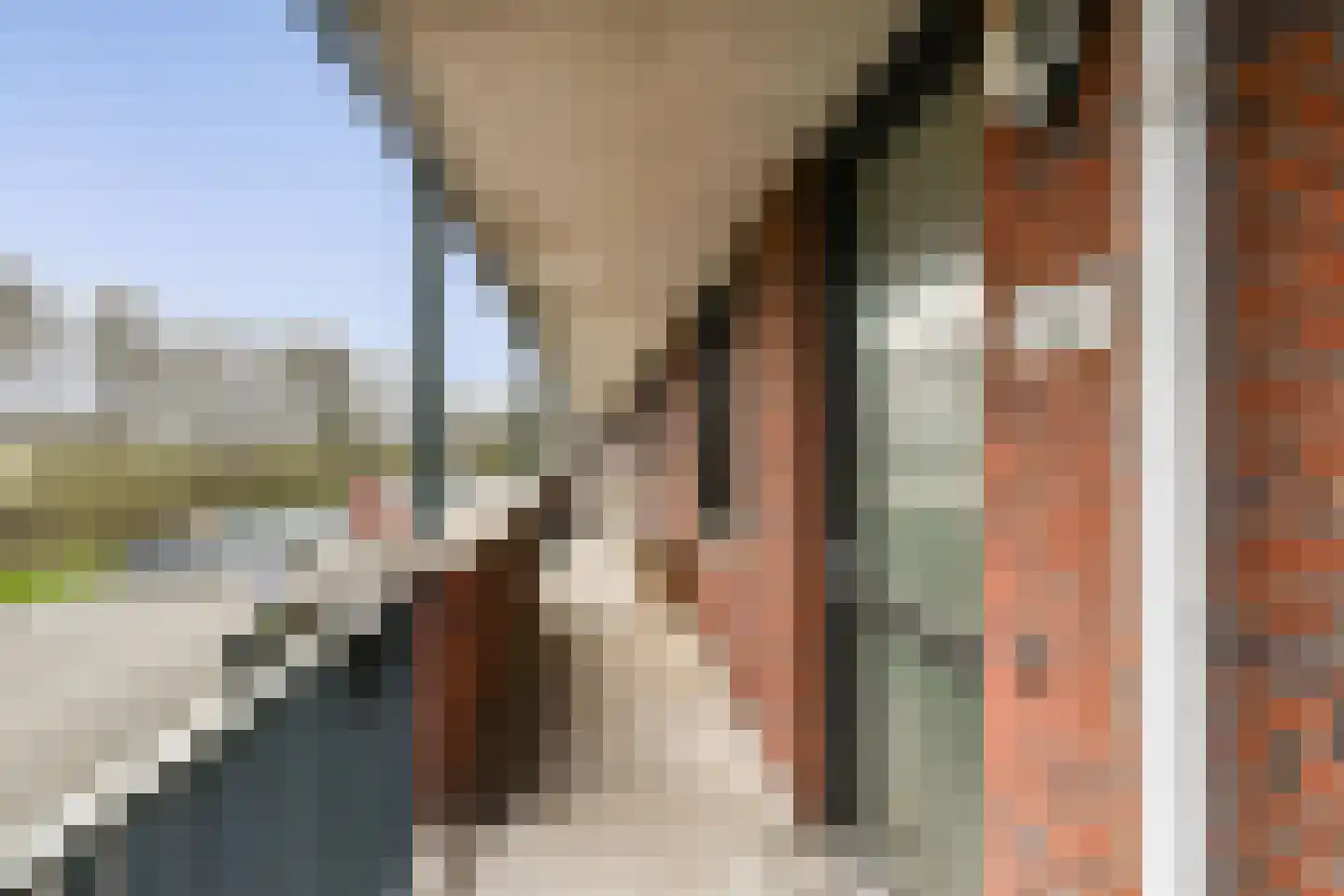 Windestraat 134 Badhoevedorp thumbnail 17