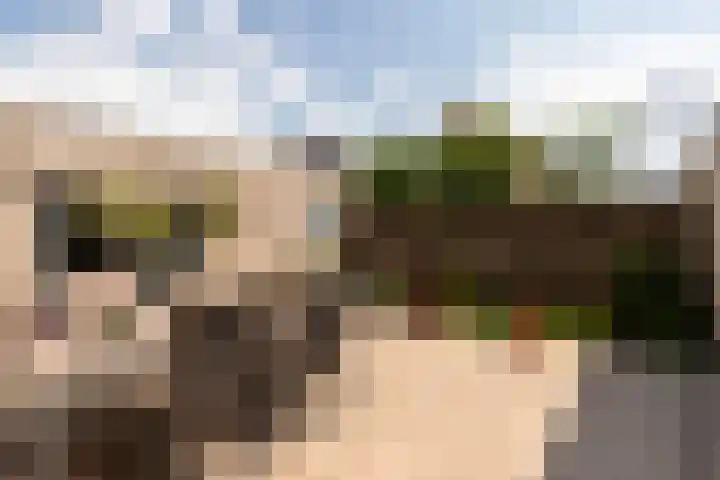 Windeveld 21 Doetinchem thumbnail 26