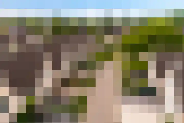 Windeveld 21 Doetinchem thumbnail 36