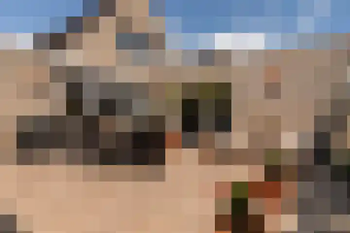 Windeveld 21 Doetinchem thumbnail 4