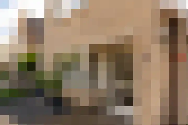 Windeveld 21 Doetinchem thumbnail 5