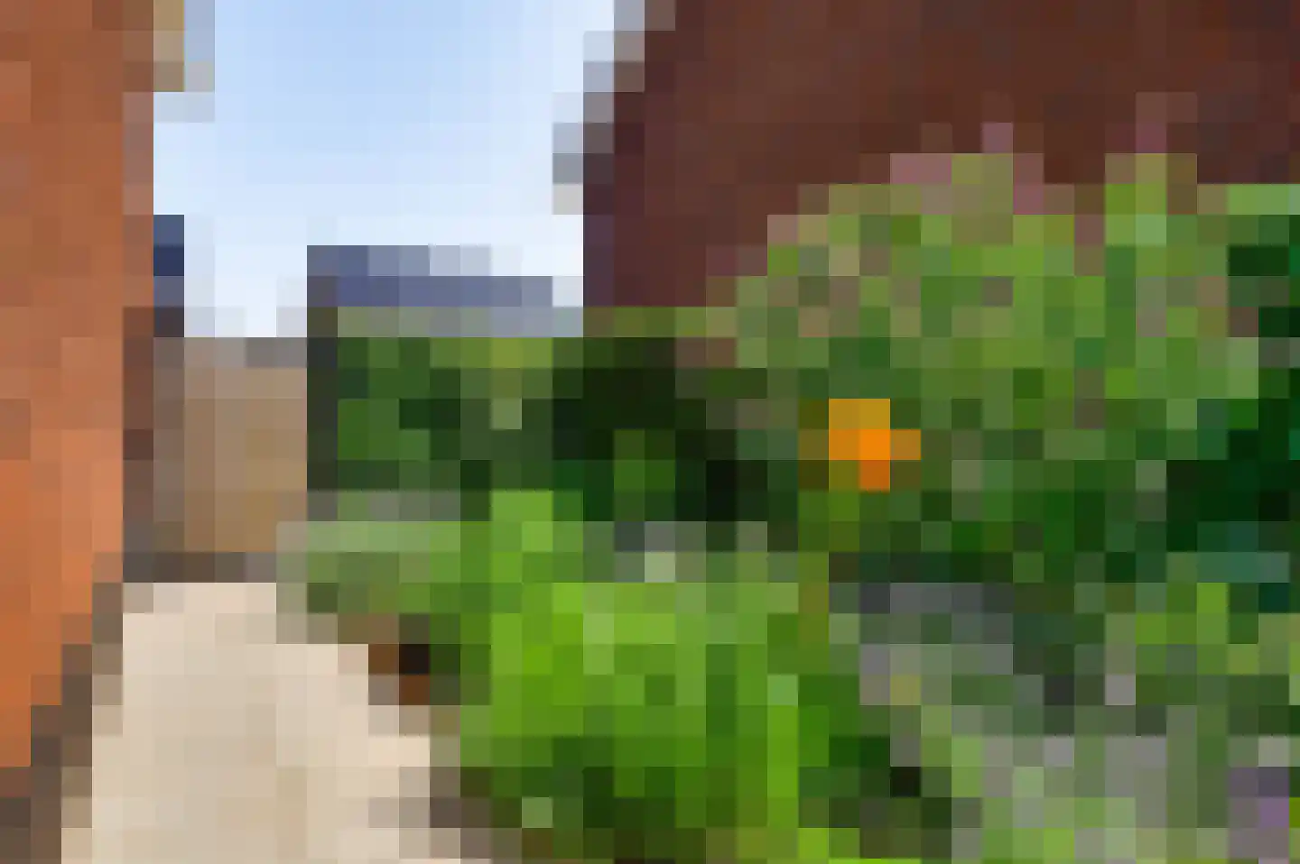 Windhaag 10 Linne thumbnail 33