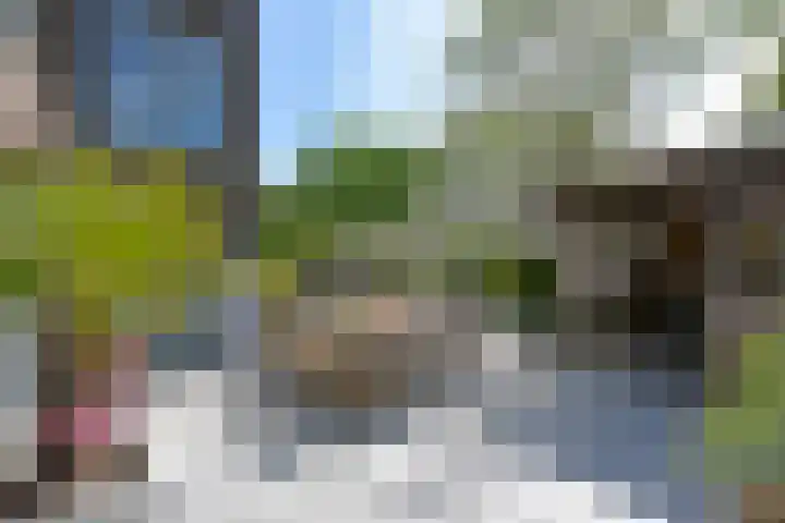 Windhaak 21 Nieuwkoop thumbnail 38
