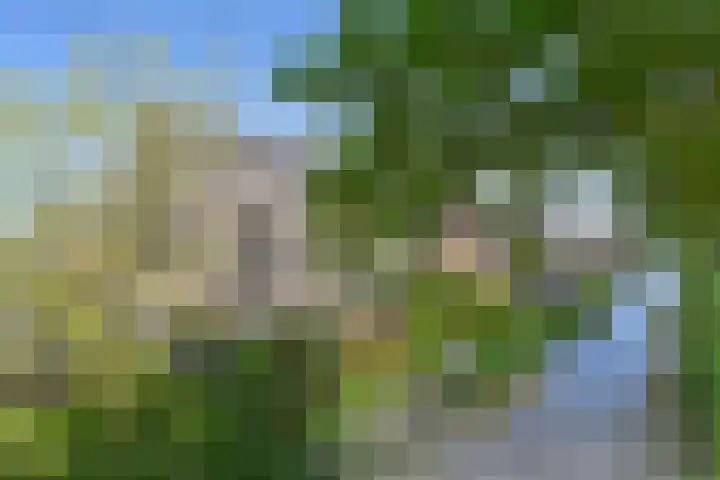 Windhaak 21 Nieuwkoop thumbnail 44