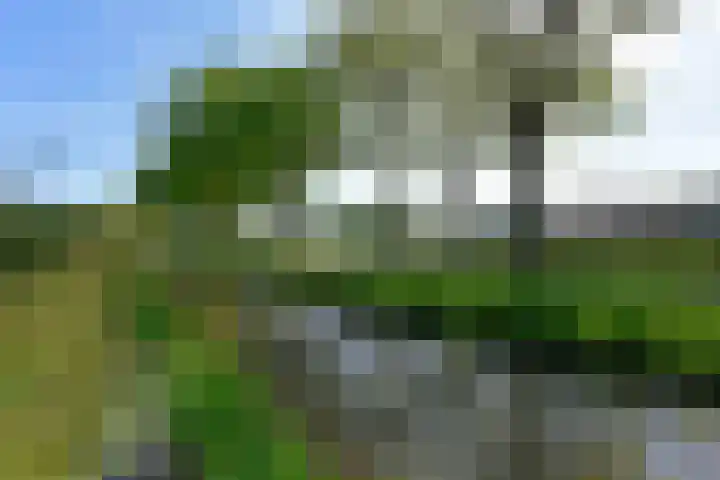 Windhaak 21 Nieuwkoop thumbnail 47