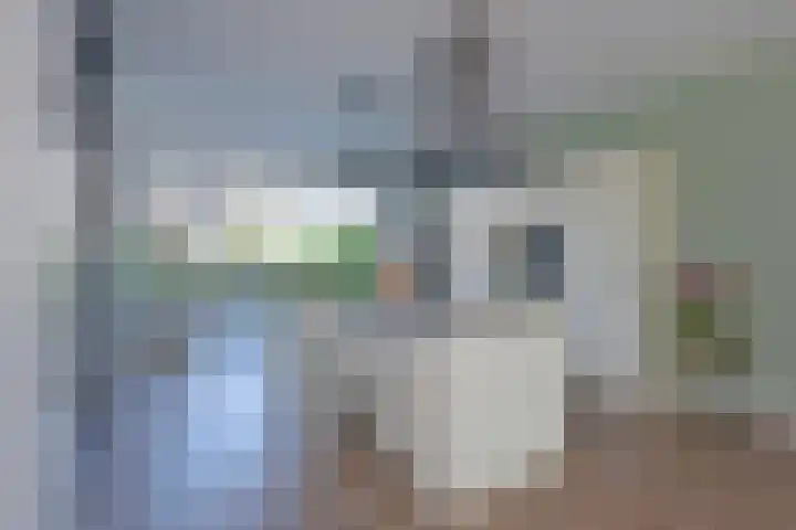 Windhaak 21 Nieuwkoop thumbnail 5