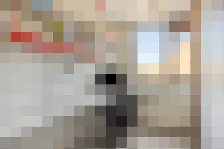Windhalm 1 Barendrecht thumbnail 18