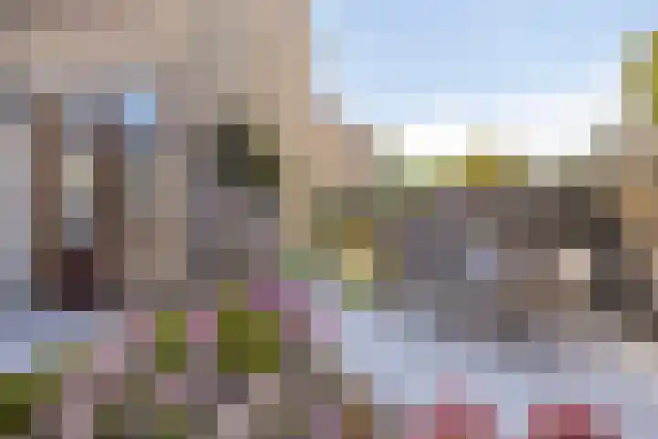Windhalm 1 Barendrecht thumbnail 30